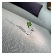 KUUの画像