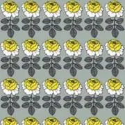 sunny.の画像