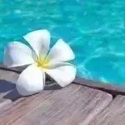 断捨離っ子（交渉中でも早い者勝ちです）の画像