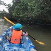 タートル