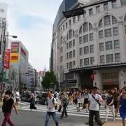 ナナシスの画像