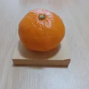 シャインマスカット