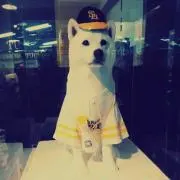 kppjks
