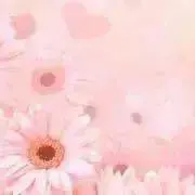 jamの画像