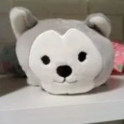 チョコちゃんの画像
