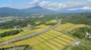 たこすけの画像