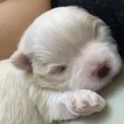 れいあめ＾＾