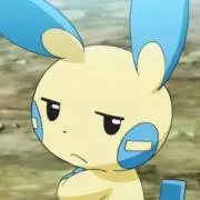 まる子の画像