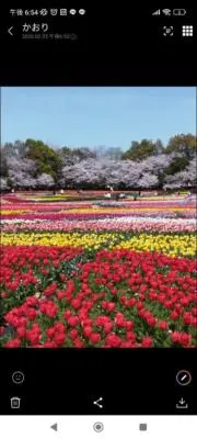 日曜日に数点出品削除