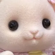 ちゃれの画像