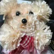 ちぃちぃ