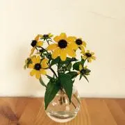 harunの画像