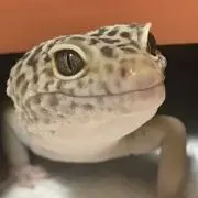 カズカズ