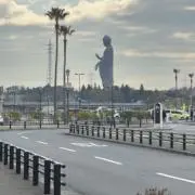 天然パーマ一号の画像