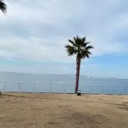 はるる