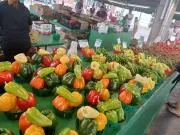 paprika