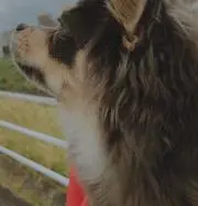 りょうかuの画像