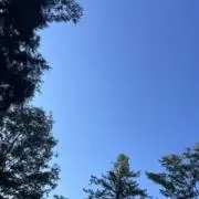 mimiの画像
