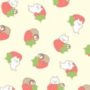 mikaの画像