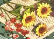 フユ   【プロフ必読】の画像