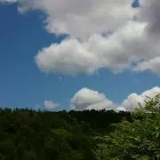 もものたの画像
