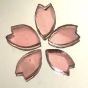 あきあきの画像