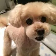 mayの画像
