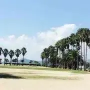 K-Kの画像