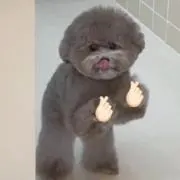 ㅜㅜの画像