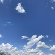 EMの画像