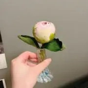 おひの画像