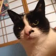 ＊chisato＊プロフ必読