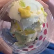 クーの画像