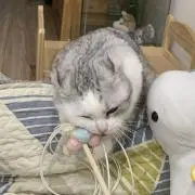れい