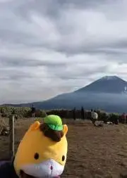 カッチン