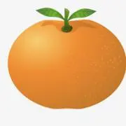 よっこの画像