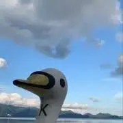 だんぼの画像