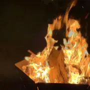 ♪♪♪