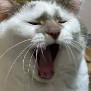 まなみの画像