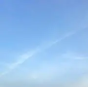 いぬの画像