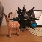 frkw2574の画像
