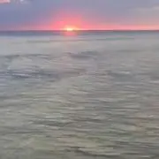 まあの画像