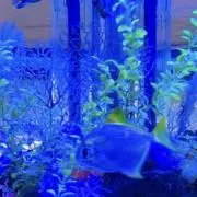 コンビニ払い不可★必読プロフ★の画像