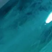 Merinoの画像