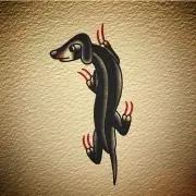 むじょーの画像