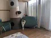 ゆとの画像
