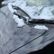 りー