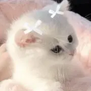 ななの画像
