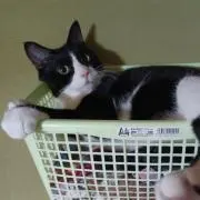 はるぼー(プロフィール必読)の画像