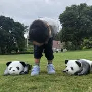 白梅